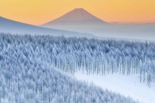 冬の絶景スポット