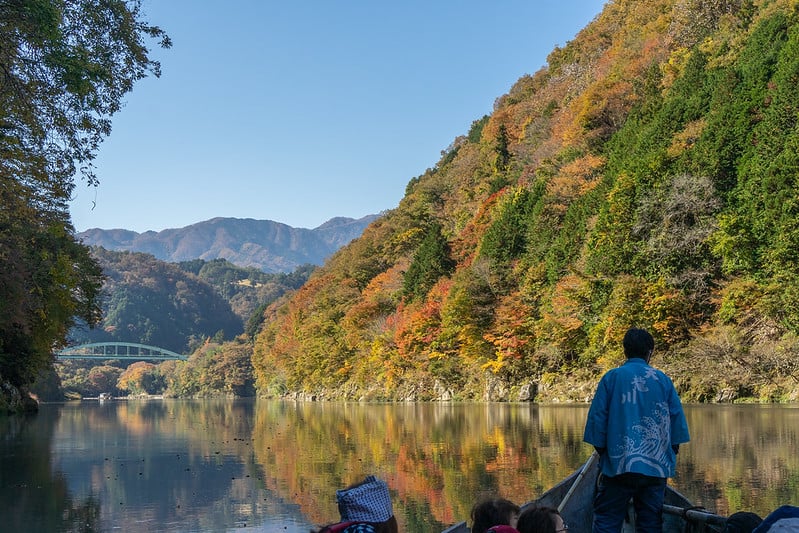 52643725391_08b3dfb3d6_c