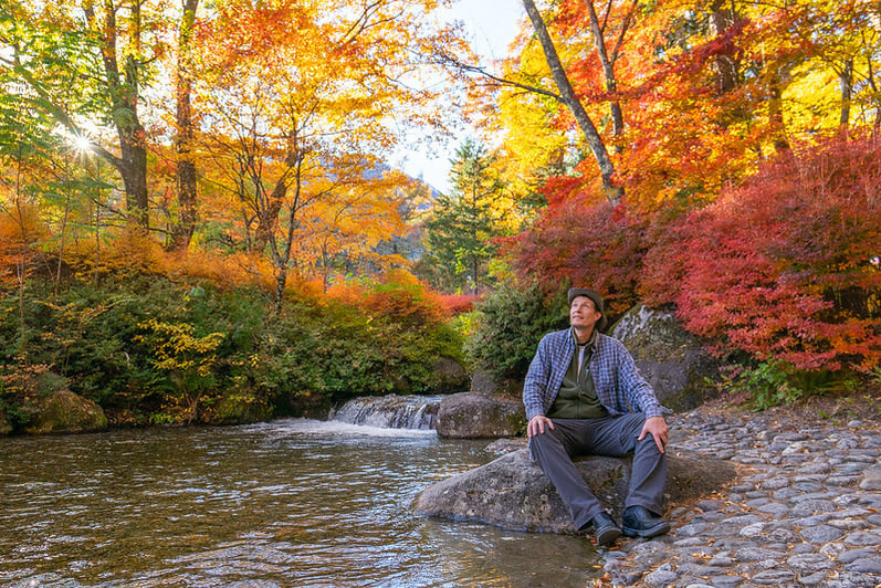 52643743886_e22a55e715_c