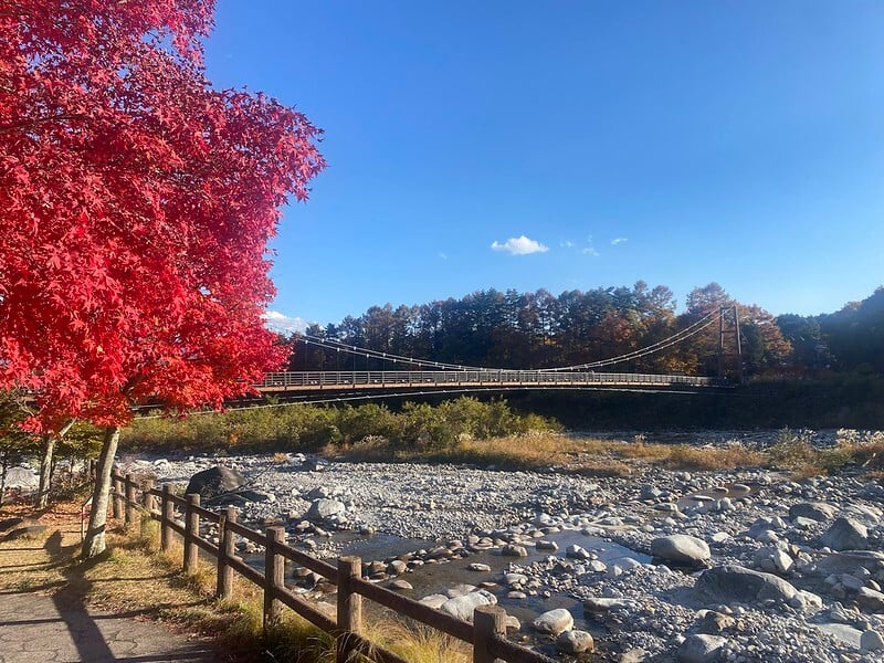 53469448758_15c0534838_c