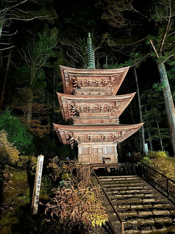 54945566208_4678171132_c