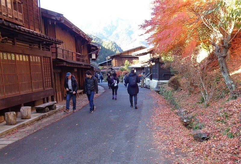 54951204818_cf45bf9262_c