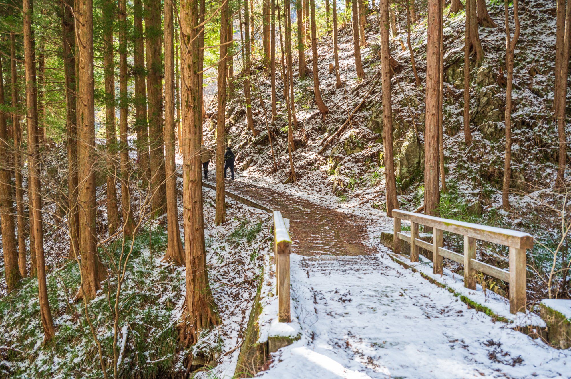 A bridge along the Tosando Trail