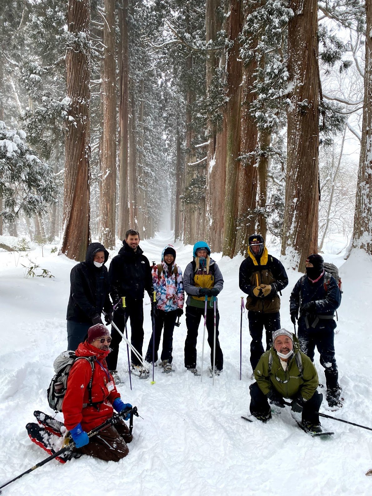 Forests and Mountains