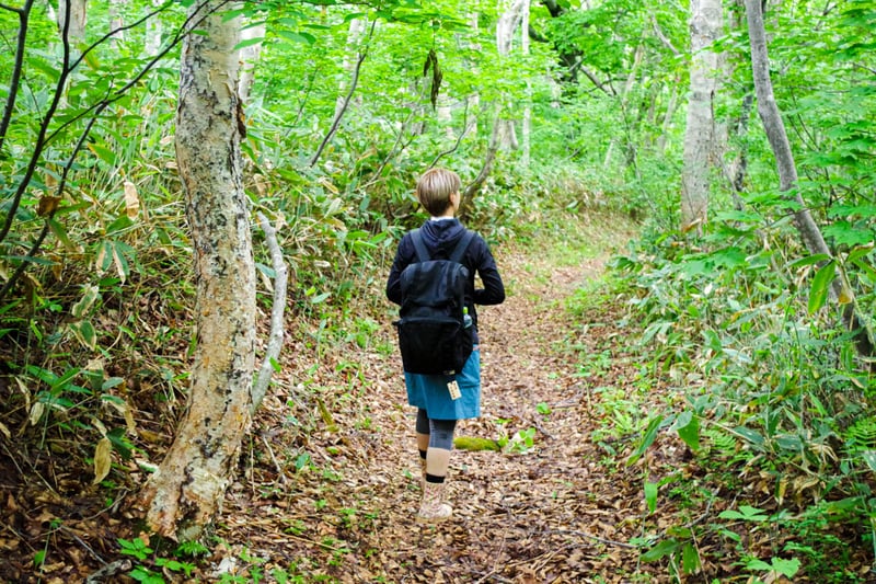 A lone hiker walks on a path of brown leaves in a forest