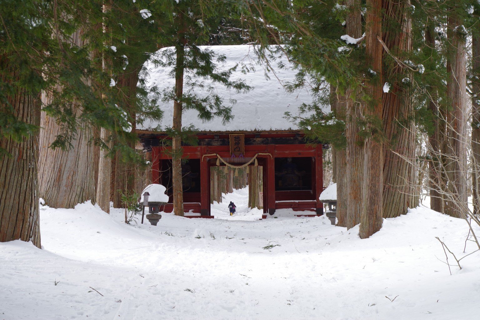 16489_ext_01_id_0_L-1