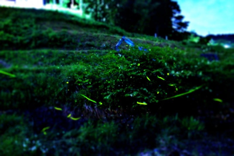 20146_ext_01_0_L