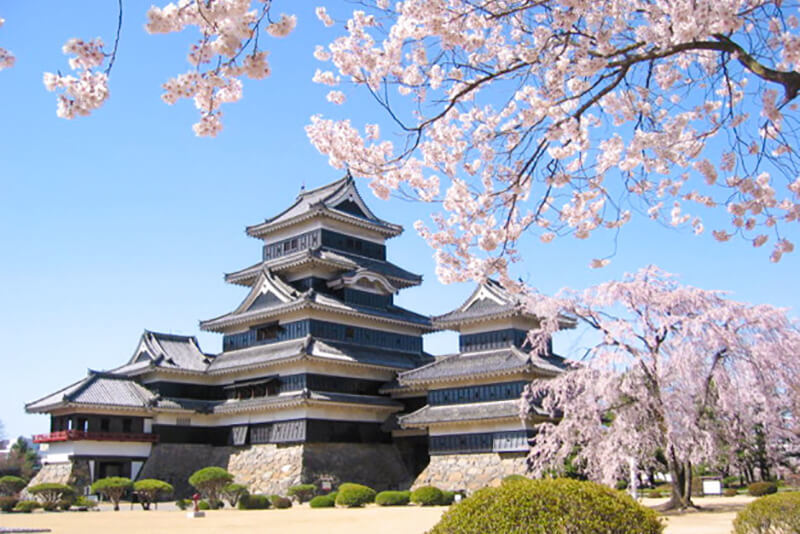 Nagano's Top Cherry Blossom Spots | Go! NAGANO Official Travel Guide of Nagano, Japan