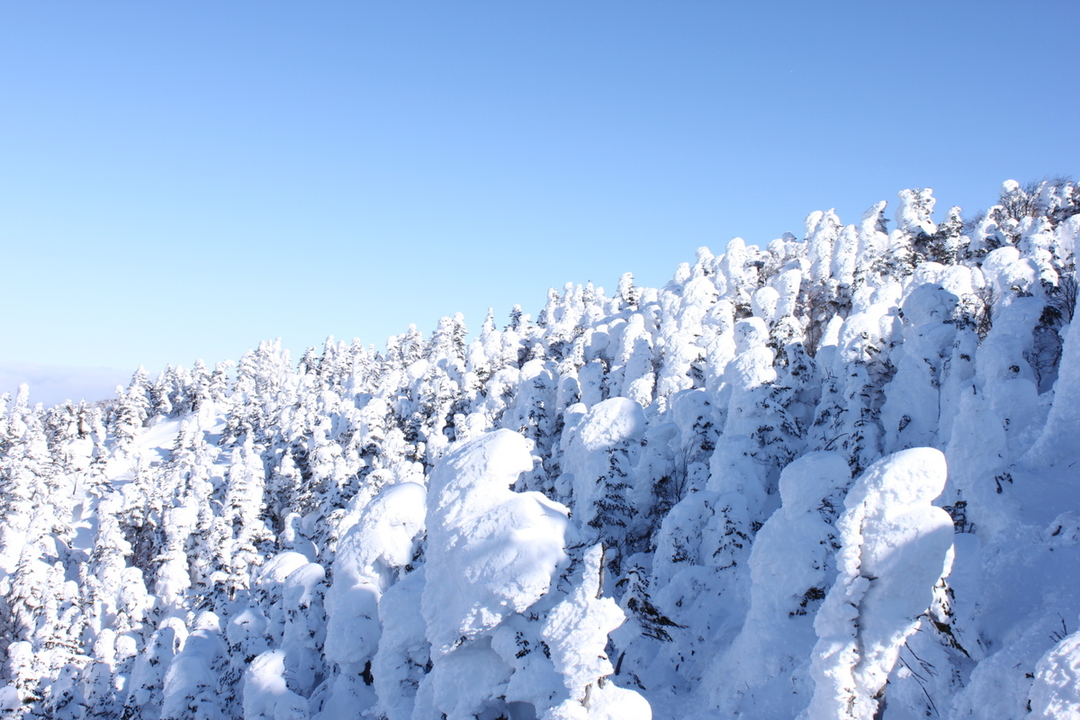 大自然の中に広がる志賀高原のスキー場