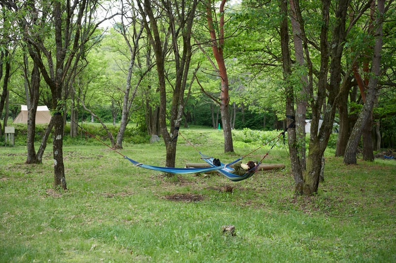 5no2_22_R