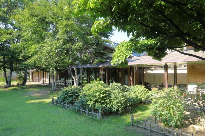 6no2_29