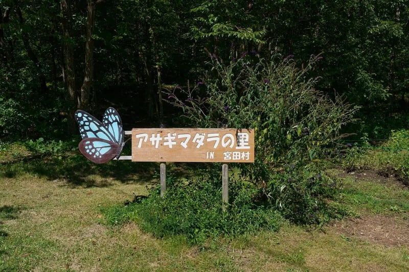 12_