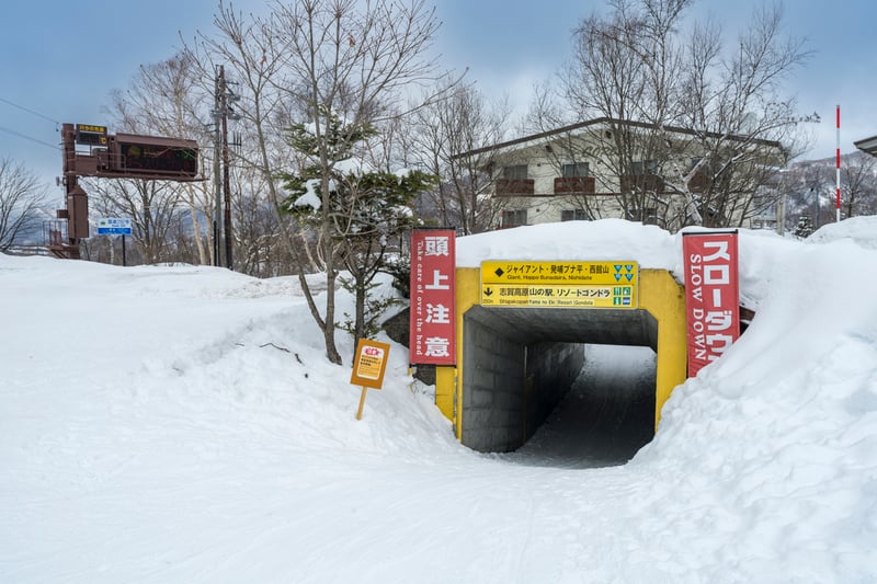13-Shiga-サンバレー〜丸池・蓮池-_7R56961