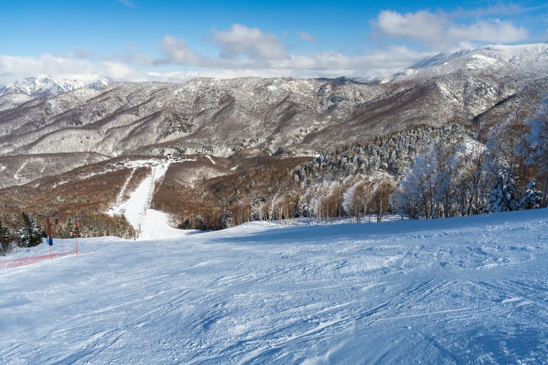 26-Shiga-焼額山・奥志賀-_7R57299