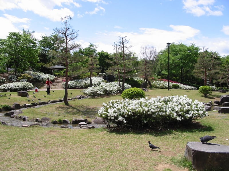 1 あがたの森公園_2
