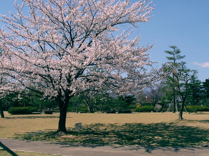 1 あがたの森公園_3