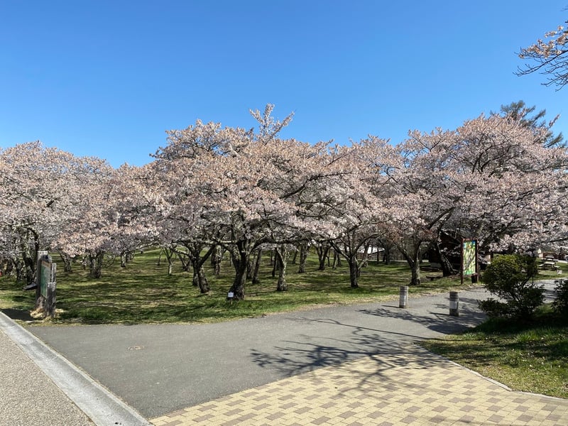 3 アルプス公園_3