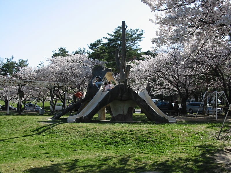5 城山公園_1