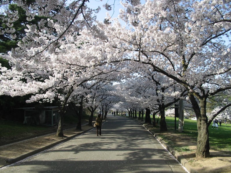 5 城山公園_3