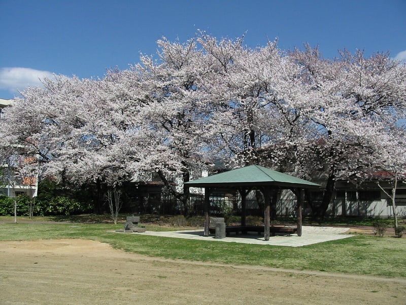 8 南部公園_2