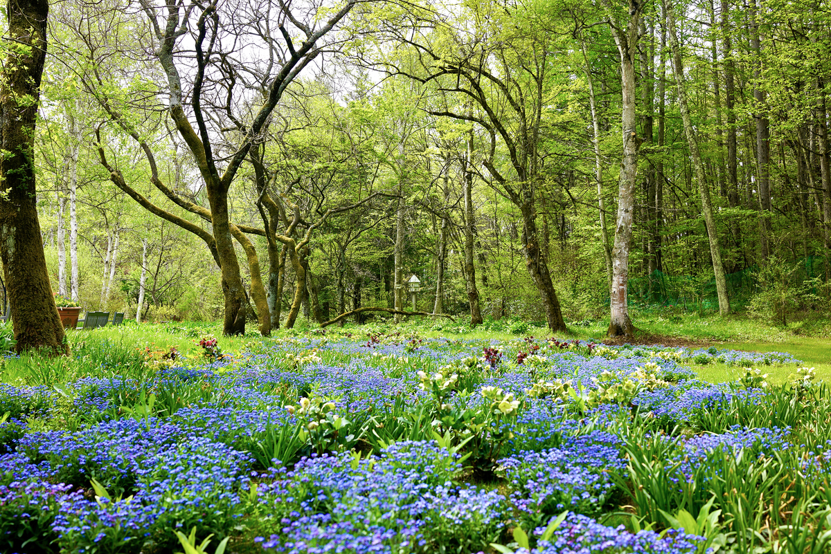 長野新潟ガーデンロード』を巡り、「庭園」の魅力にふれる旅に出かけ