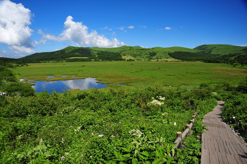 6-3_八島湿原(c)長野県霧ヶ峰自然保護センター