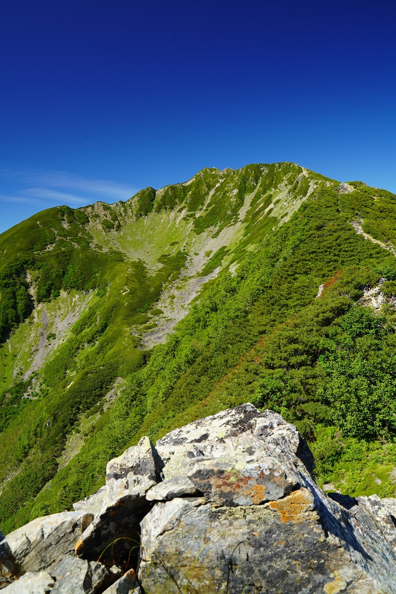 南アルプス登山に挑戦！長野県側から登れる初級～中級向けの5コースを