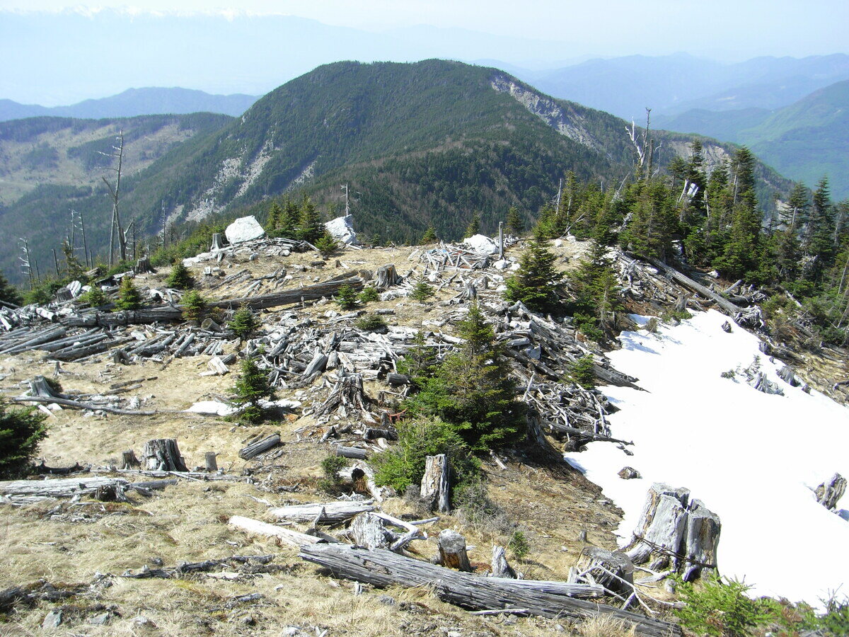 南アルプス登山に挑戦！長野県側から登れる初級～中級向けの5コースを