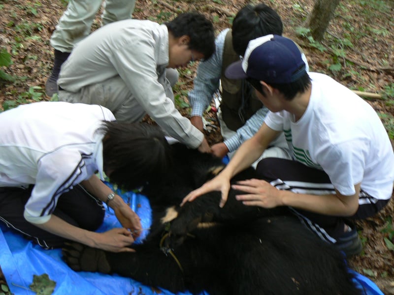 04_handling2