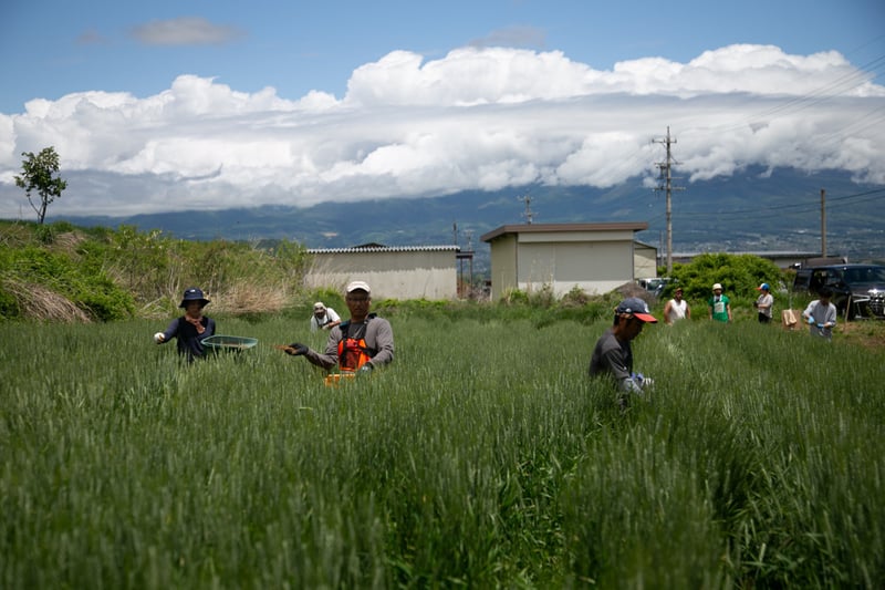 11_2024-05-20-Go-Nagano-Blog-Shoot-Saku-8590