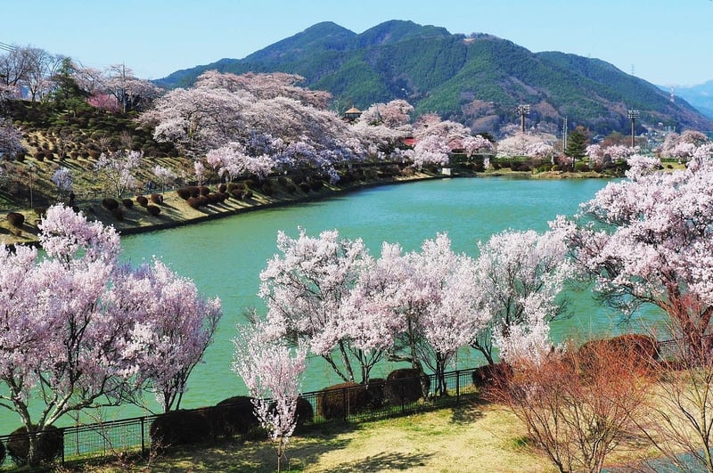01_1_たつの海
