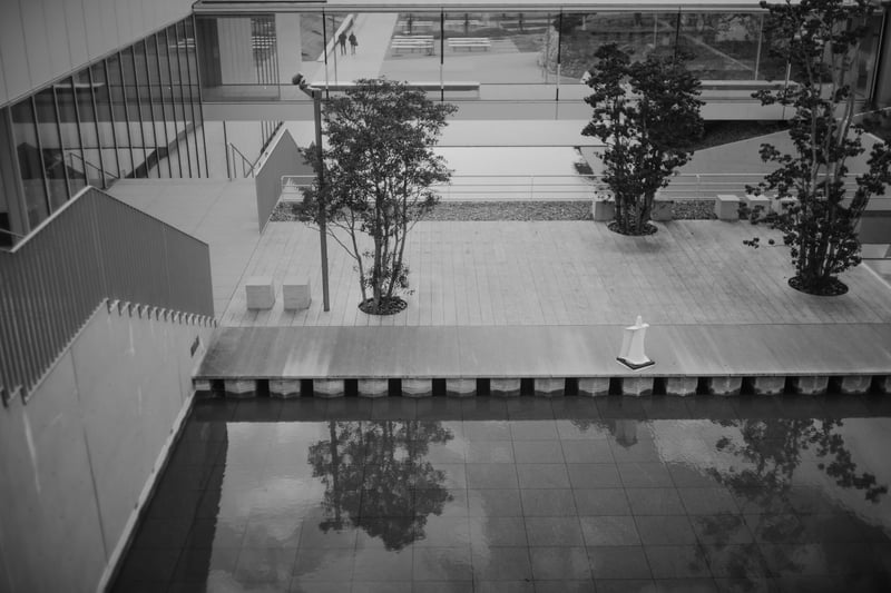 C05_DSC08563