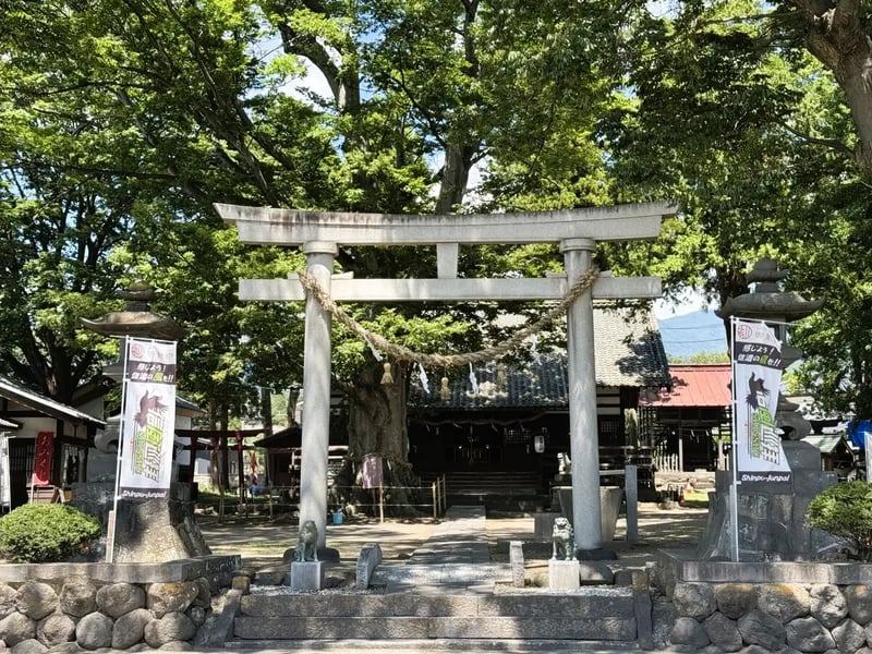 02-4
