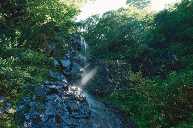 __DSC04103924