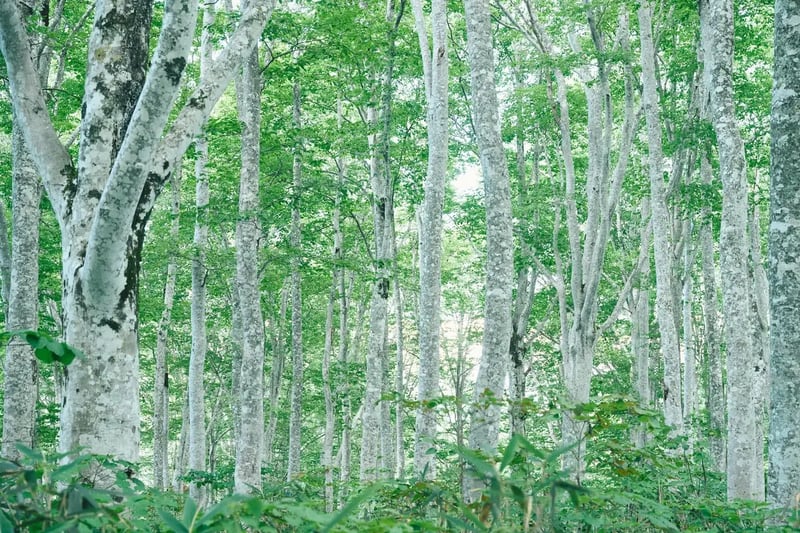 __DSC06694182
