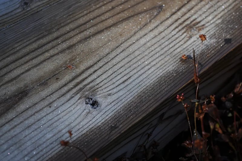 11_DSC_2848