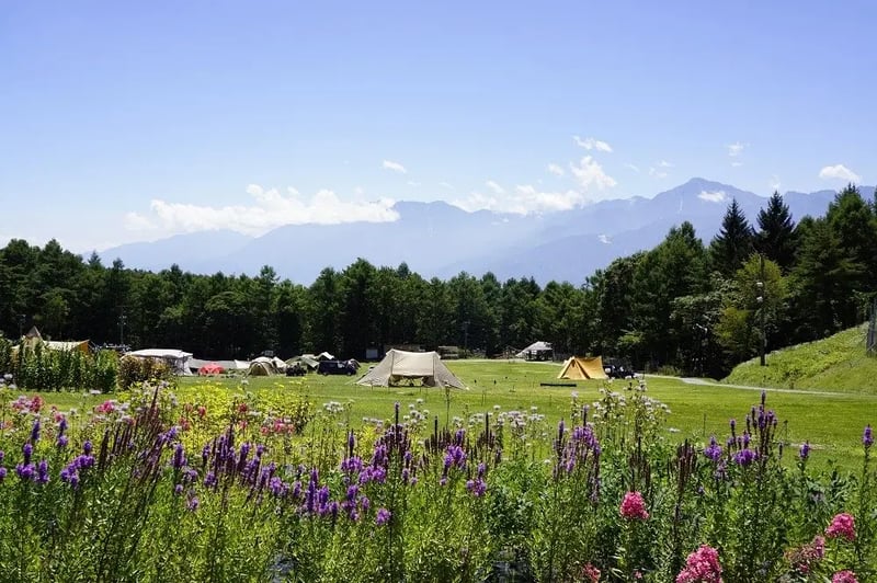 TOP-Mar-24-2025-03-59-14-4058-AM