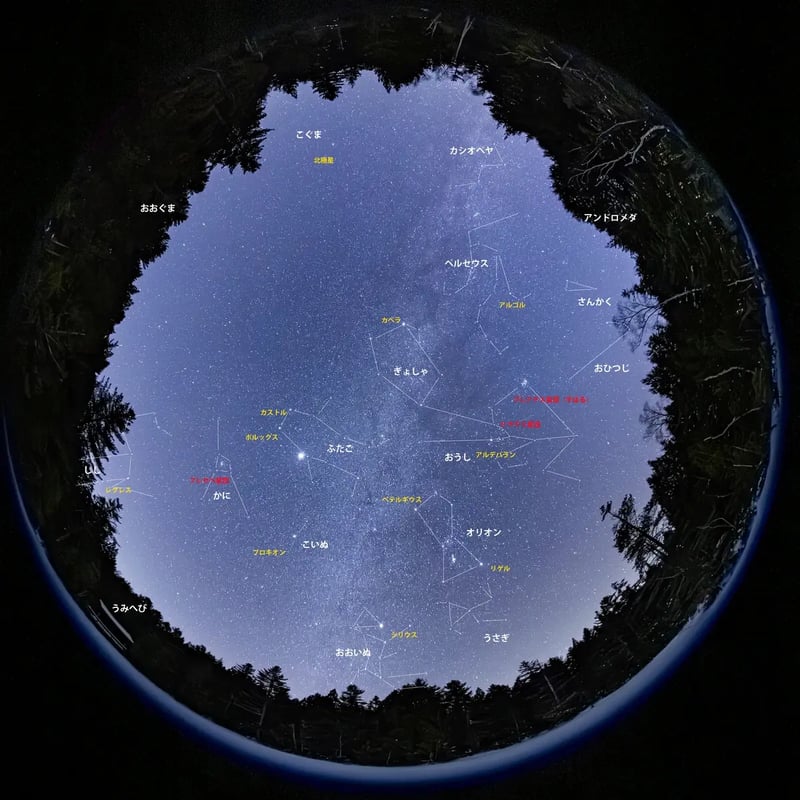 07_2026-01-09_22-24-01_EOS R5_Ohnishi_4698_NORIKURA3000LINE