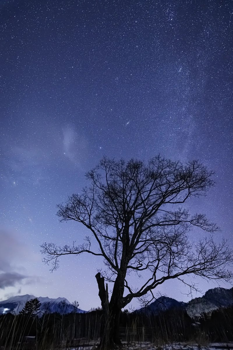 KISO04_2026-01-12_18-51-10_EOS R5_Ohnishi_4870_KISO2700
