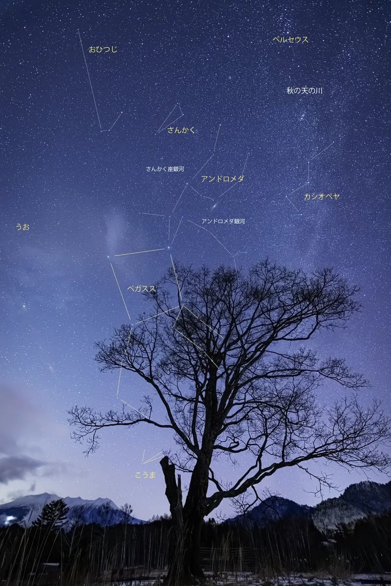 KISO05_2026-01-12_18-51-10_EOS R5_Ohnishi_4870_KISO2700LINE