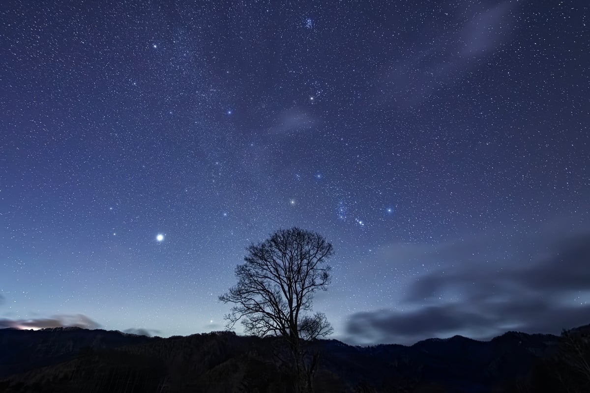 Top_2026-01-12_18-43-39_EOS R5_Ohnishi_4863_KAIDA2700