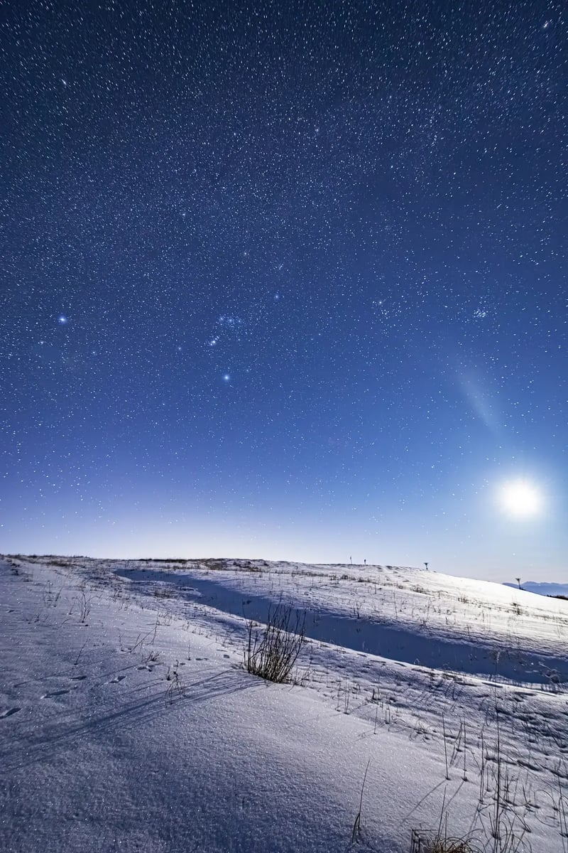 3_2020_02_01_Ohnishi_49193_KIROIGAMINE2700