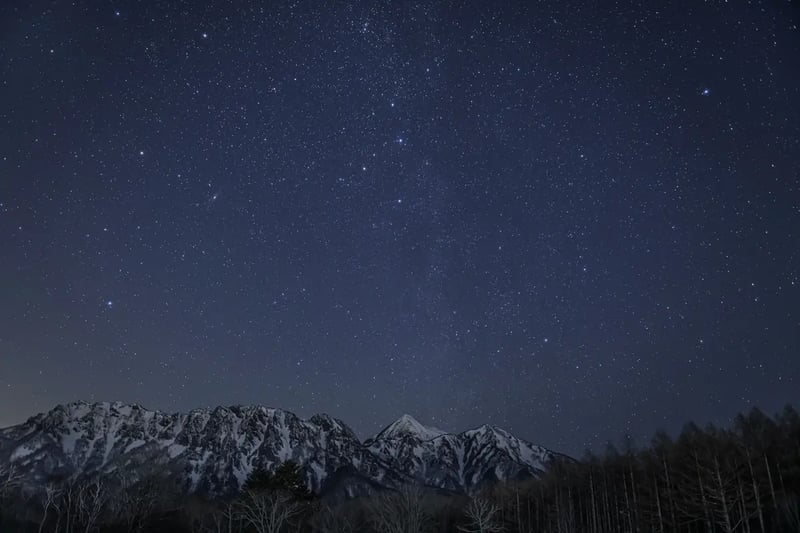 T03_2026-02-19_19-52-49_EOS R5_Ohnishi_5631_TOGAKUSI2700