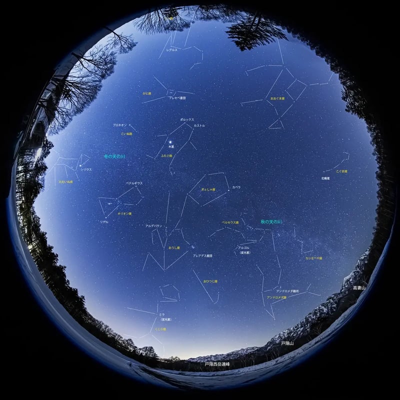 T10_2026-02-19_19-59-54_EOS R5_Ohnishi_5633_TOGAKUSHI2400LineLine