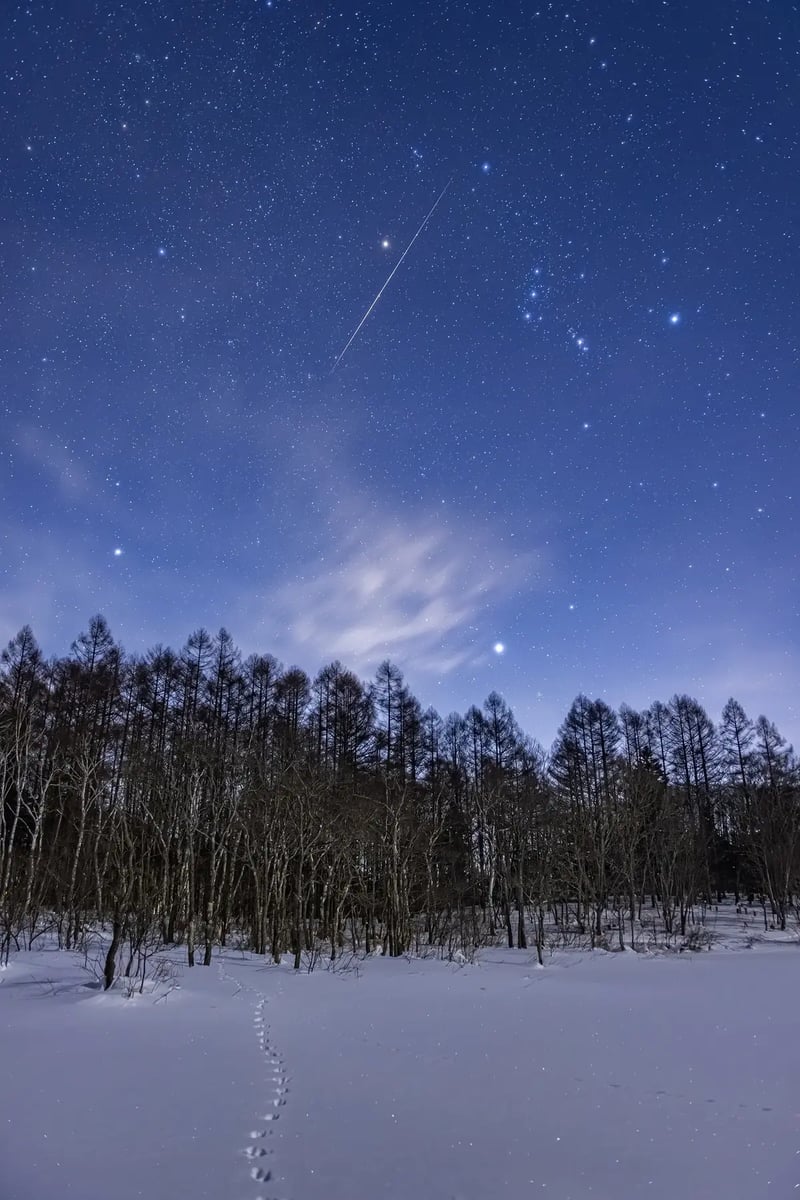 T12_2022-01-08_19-58-53_Ohnishi_EOS R5_0882_KOTORI2700