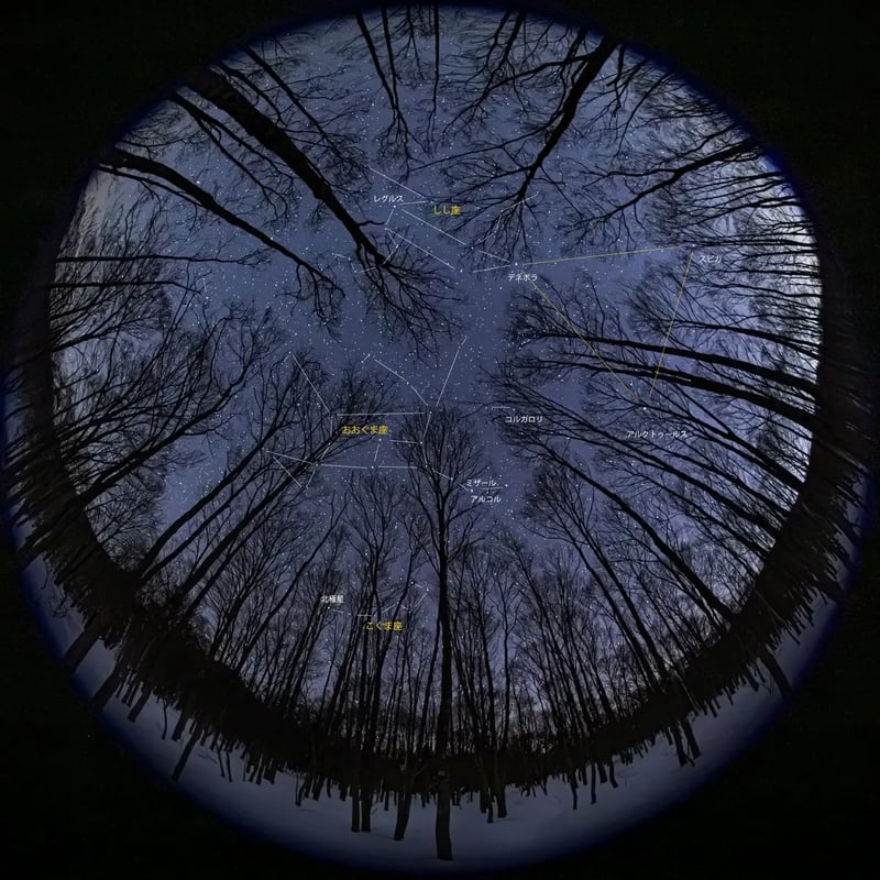 T17_2018_02_24_Ohnishi_09101_KAGAMI2400Line