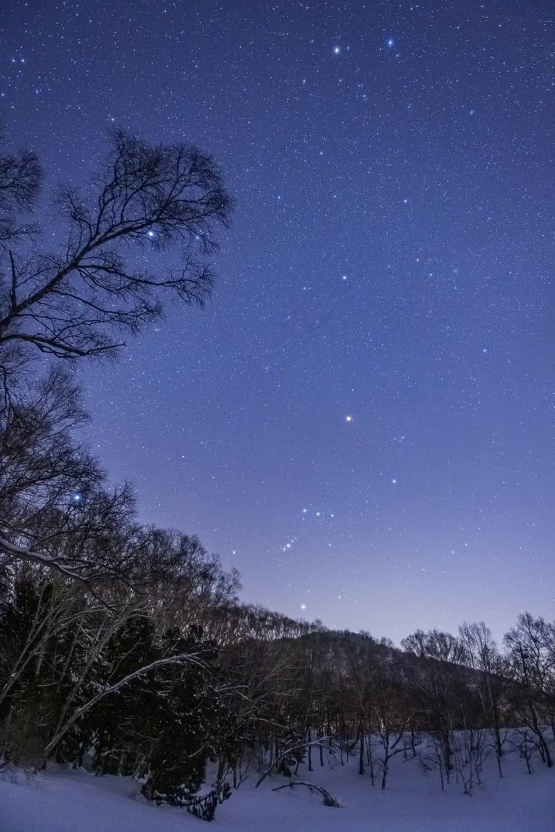 S07_2022-03-24_21-08-04_Ohnishi_EOS R5_1745_SHIGA2700