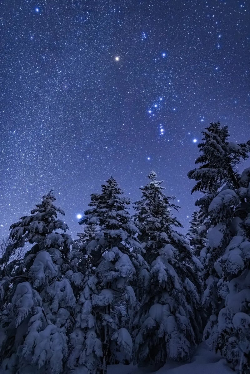 S10_2024-01-30_20-33-35_Ohnishi_EOS R5_5179_SHIGA2700