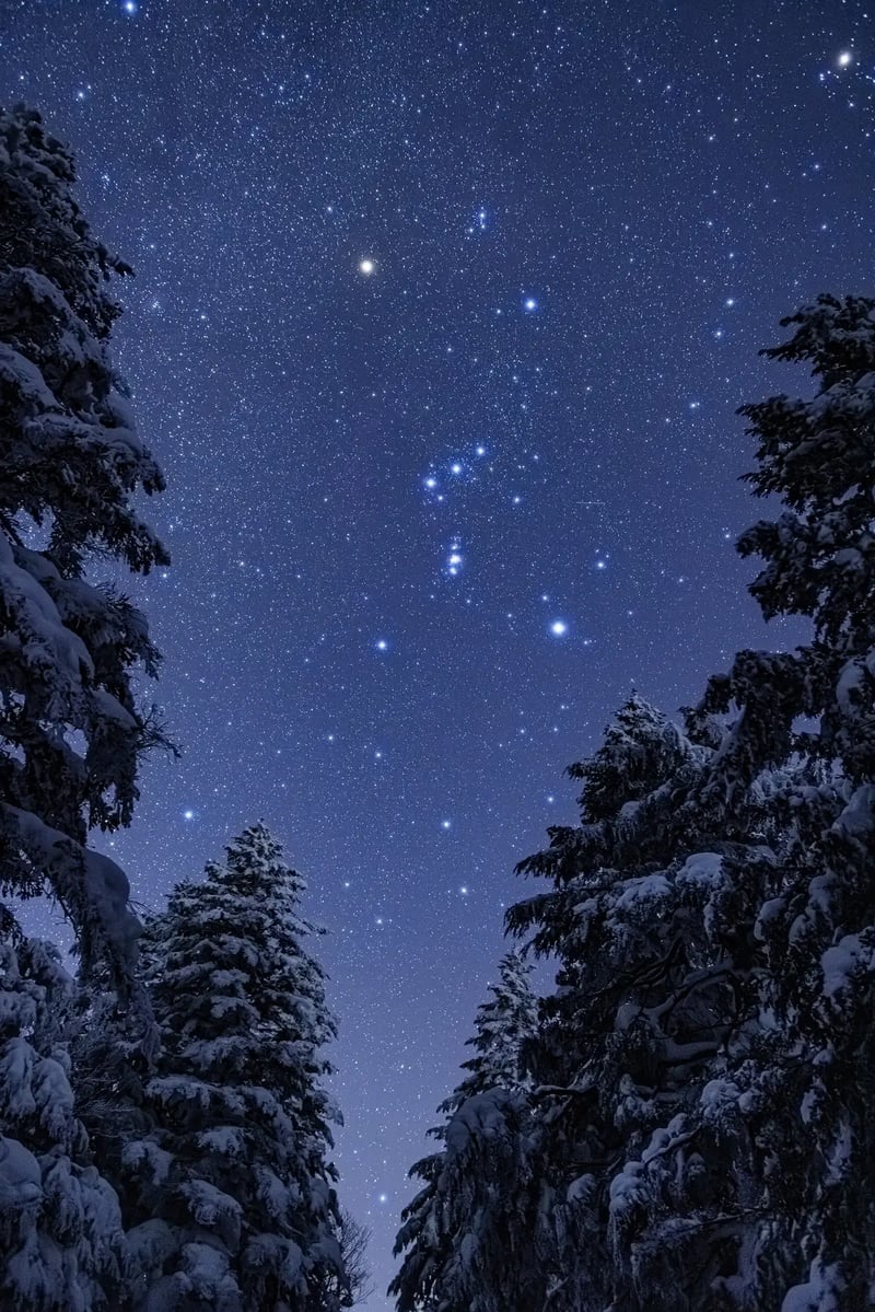 S11_2024-01-30_21-01-44_Ohnishi_EOS R5_5189_SHIGA2700