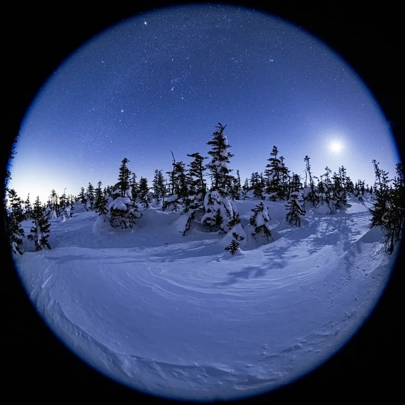 S14_2026-02-21_19-44-14_EOS R5_Ohnishi_6189_YOKOTE2400